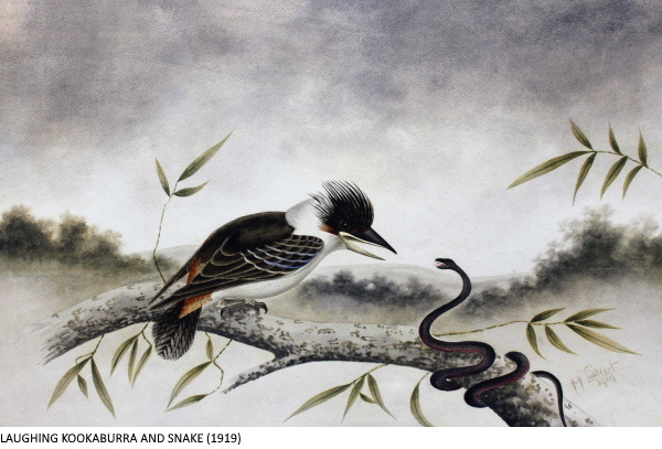 LAUGHING KOOKABURRA AND SNAKE (1919)